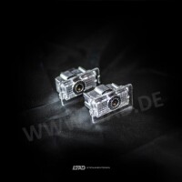 Einstiegsbeleuchtung mit eigenem Logo für Tesla Model X (Bj. 2015-2026)